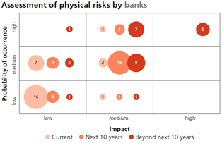 Assessment of physical risks by banks