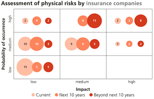 Assessment of physical risks by insurance companies