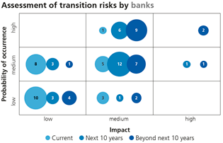 Assessment of transition risks by banks